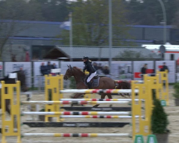 Reitturnier Schloß Holte 2019