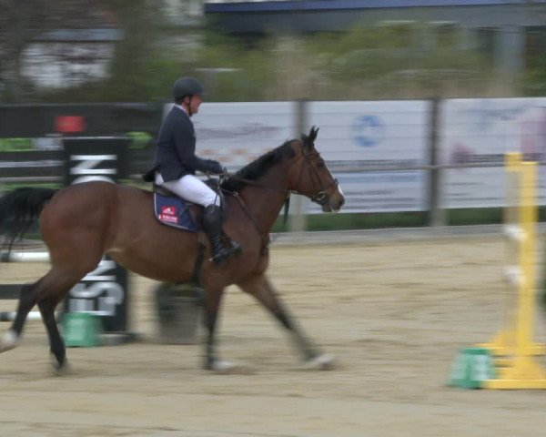 Reitturnier Schloß Holte 2019