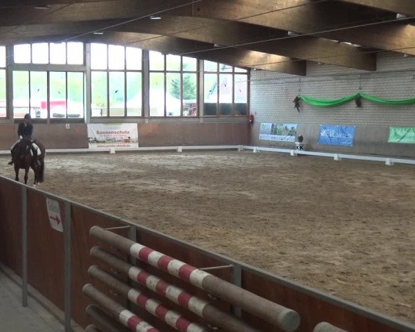 Reitturnier Leverkusen-Rheindorf 2019