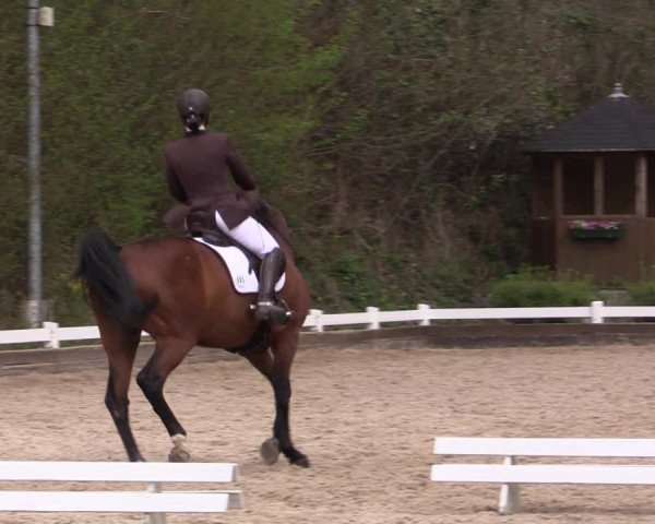 Reitturnier Mettmann - Reitanlage Löckenhoff 2019