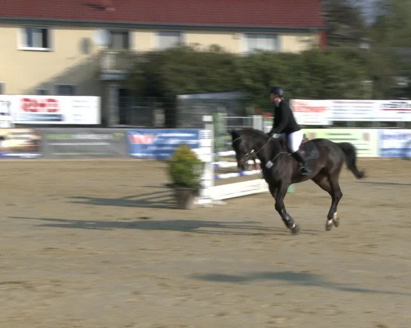 Reitturnier Schloß Holte 2019