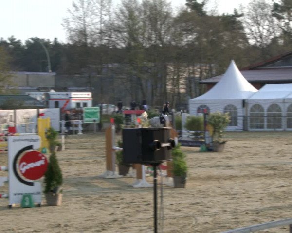 Reitturnier Schloß Holte 2019