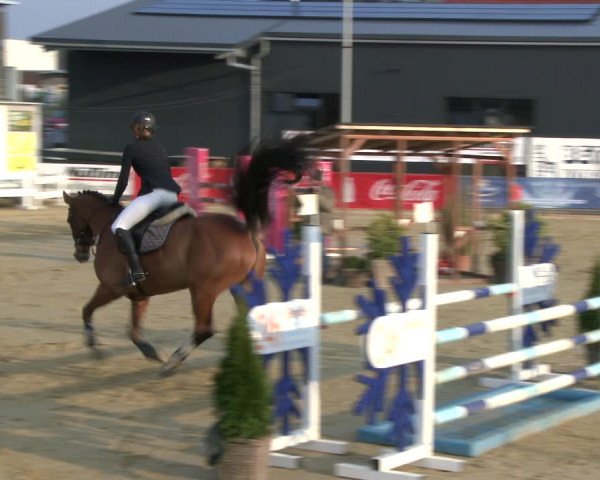 Reitturnier Schloß Holte 2019