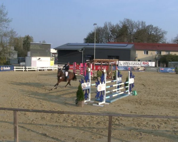Reitturnier Schloß Holte 2019