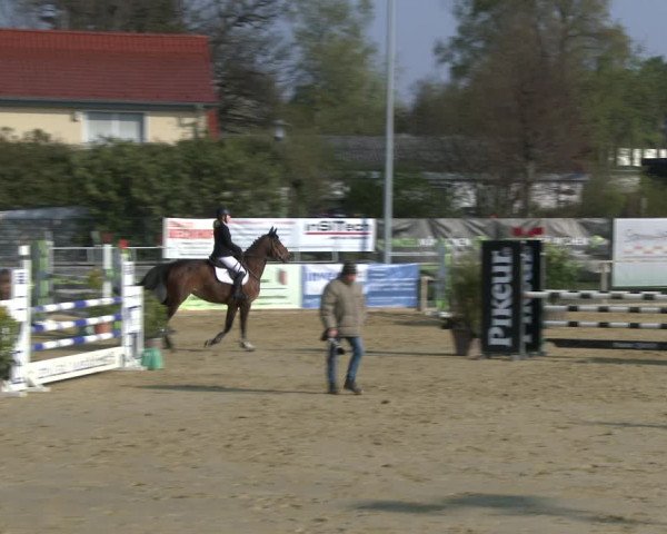 Reitturnier Schloß Holte 2019