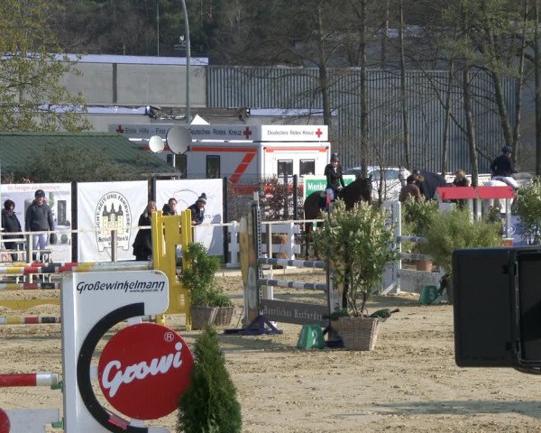 Reitturnier Schloß Holte 2019