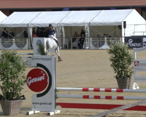 Reitturnier Schloß Holte 2019