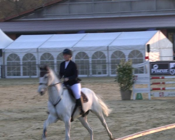 Reitturnier Schloß Holte 2019