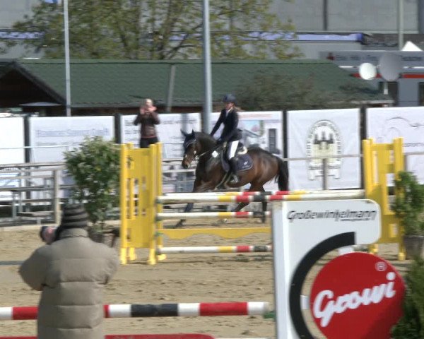 Reitturnier Schloß Holte 2019