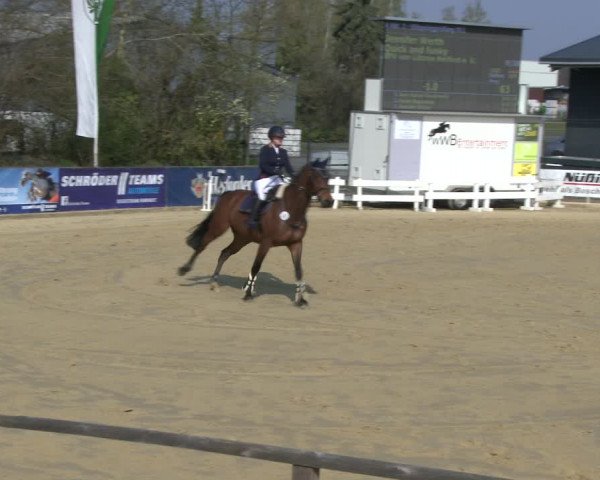 Reitturnier Schloß Holte 2019