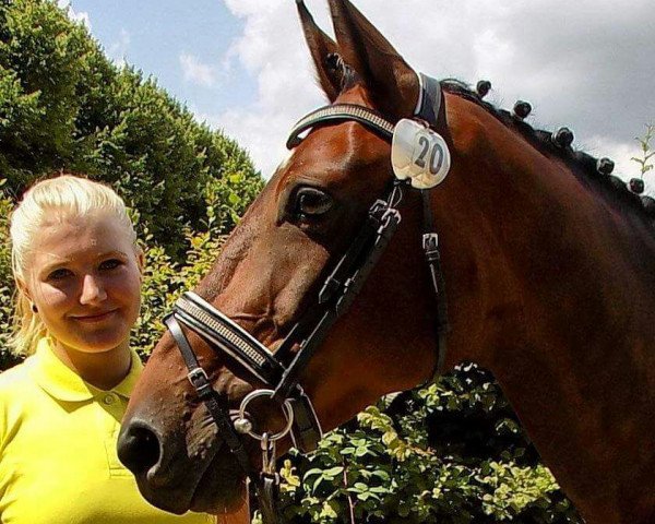broodmare Dakota (KWPN (Royal Dutch Sporthorse), 2008, from King Kolibri)