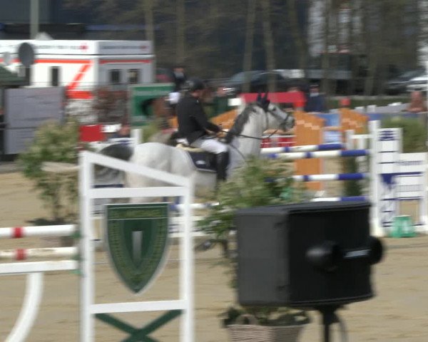 Reitturnier Schloß Holte 2019