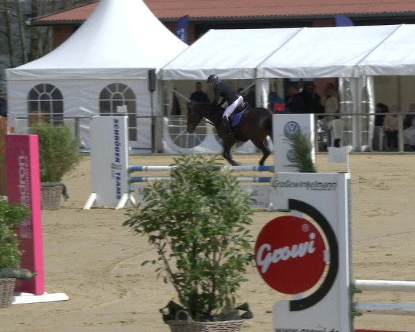 Reitturnier Schloß Holte 2019