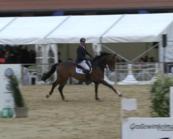 Reitturnier Schloß Holte 2019