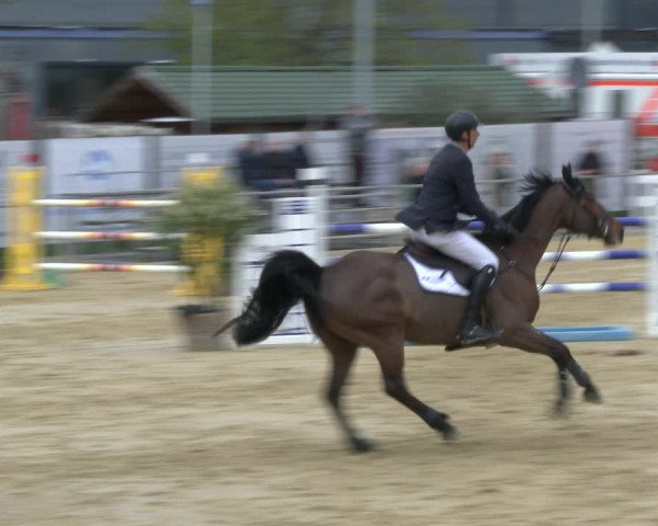 Reitturnier Schloß Holte 2019