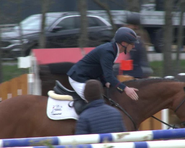 Reitturnier Schloß Holte 2019
