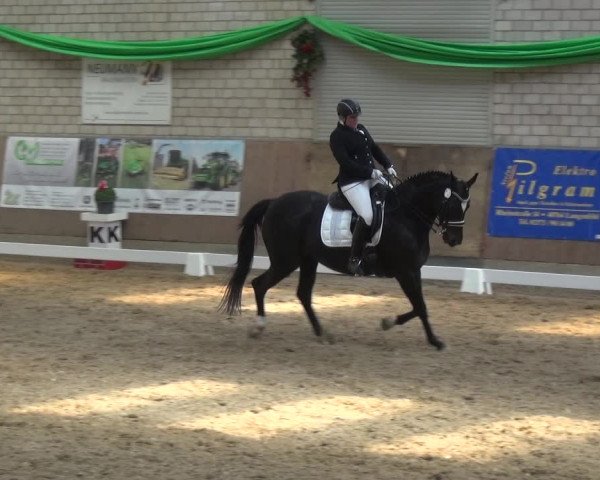Reitturnier Leverkusen-Rheindorf 2019