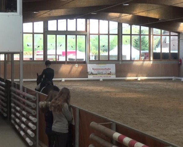 Reitturnier Leverkusen-Rheindorf 2019