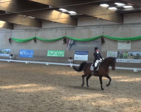 Reitturnier Leverkusen-Rheindorf 2019