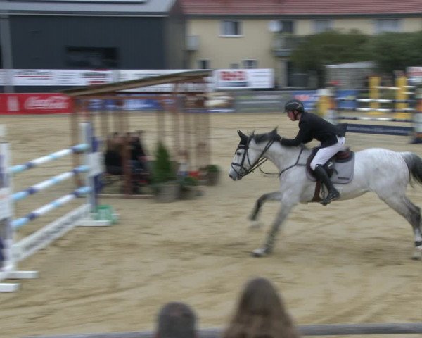 Reitturnier Schloß Holte 2019