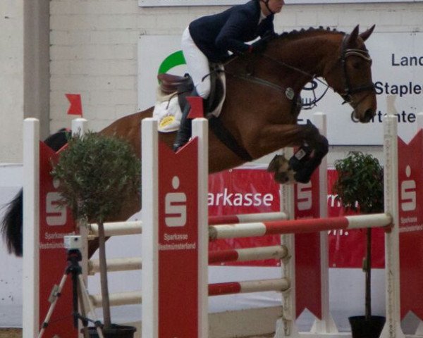 jumper Sally Tn (Westphalian, 2012, from Satisfaction FRH)