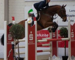 jumper Sally Tn (Westphalian, 2012, from Satisfaction FRH)