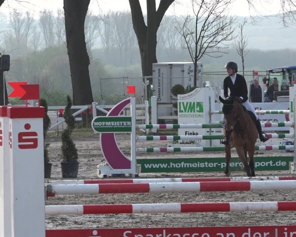 Reitturnier Werne-Lenklar 2019