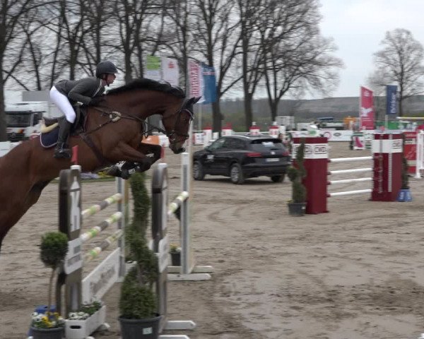 Reitturnier Werne-Lenklar 2019