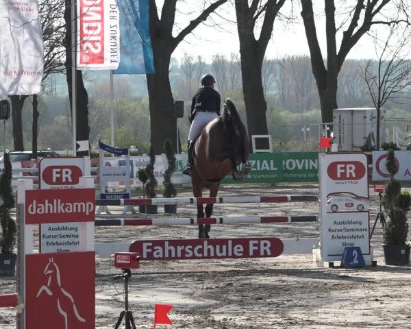 Reitturnier Werne-Lenklar 2019