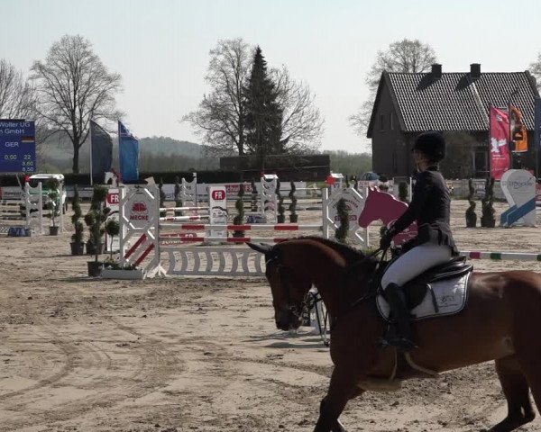 Reitturnier Werne-Lenklar 2019
