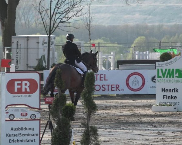 Reitturnier Werne-Lenklar 2019