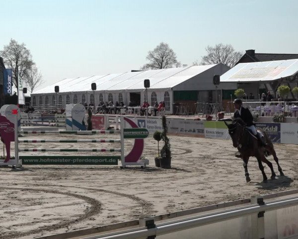 Reitturnier Werne-Lenklar 2019
