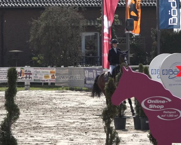 Reitturnier Werne-Lenklar 2019