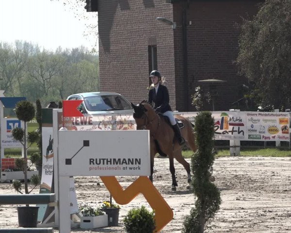 Reitturnier Werne-Lenklar 2019