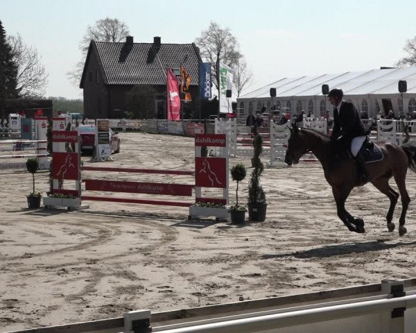 Reitturnier Werne-Lenklar 2019
