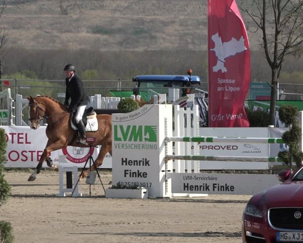 Reitturnier Werne-Lenklar 2019