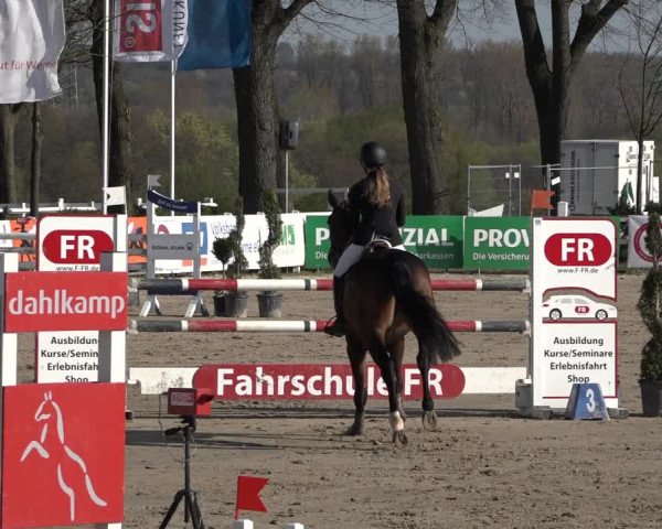 Reitturnier Werne-Lenklar 2019