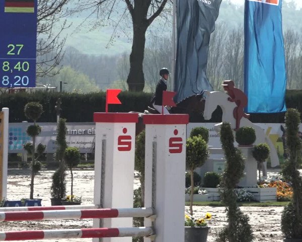 Reitturnier Werne-Lenklar 2019