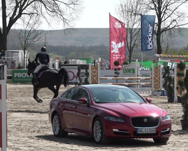 Reitturnier Werne-Lenklar 2019