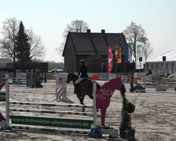 Reitturnier Werne-Lenklar 2019
