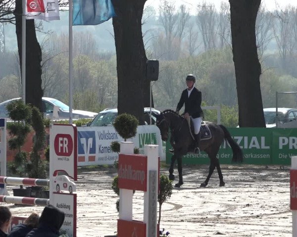 Reitturnier Werne-Lenklar 2019