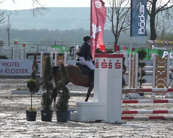 Reitturnier Werne-Lenklar 2019