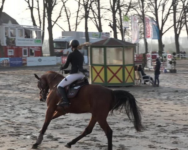 Reitturnier Werne-Lenklar 2019