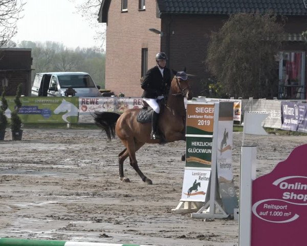 Reitturnier Werne-Lenklar 2019
