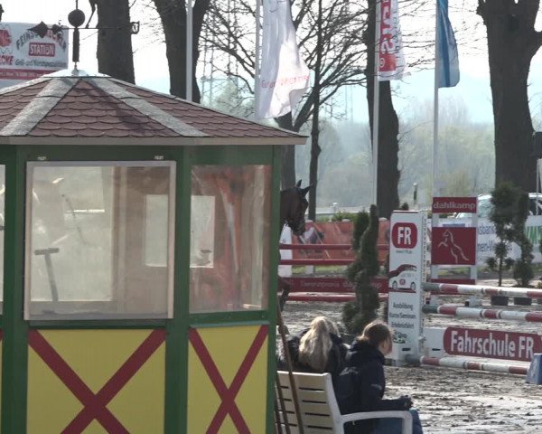 Reitturnier Werne-Lenklar 2019