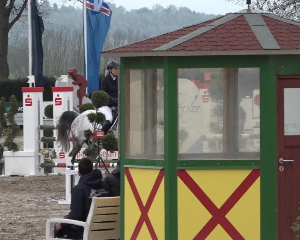 Reitturnier Werne-Lenklar 2019