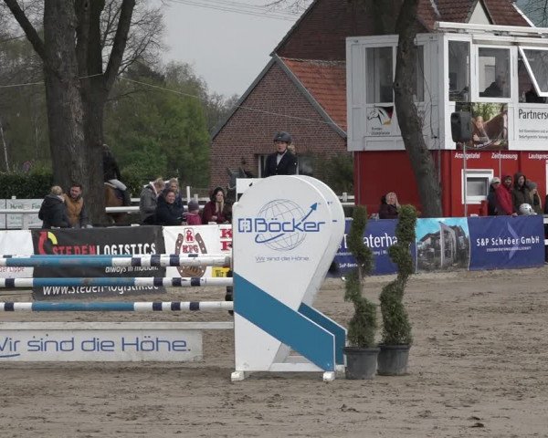 Reitturnier Werne-Lenklar 2019