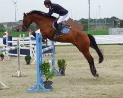 jumper Evilet van Beek (KWPN (Royal Dutch Sporthorse), 2009, from Clintord)