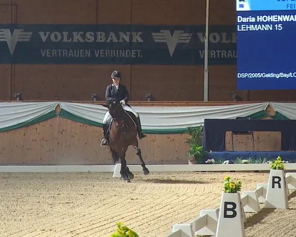FEI Reitturnier Wiener Neustadt (AUT) 2019