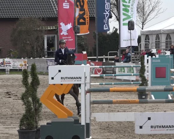 Reitturnier Werne-Lenklar 2019